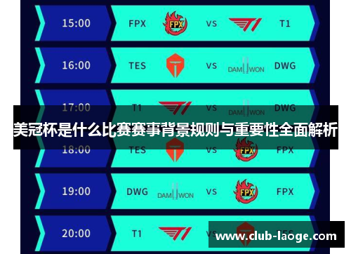 美冠杯是什么比赛赛事背景规则与重要性全面解析