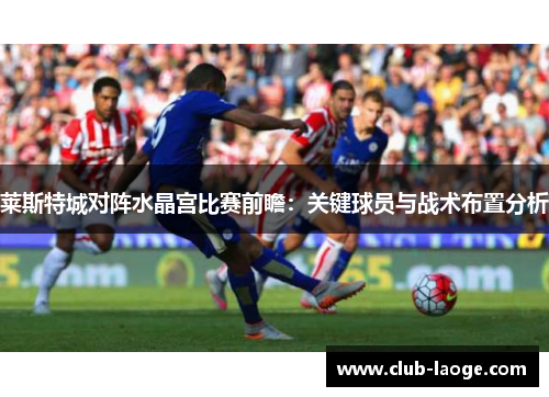 莱斯特城对阵水晶宫比赛前瞻：关键球员与战术布置分析